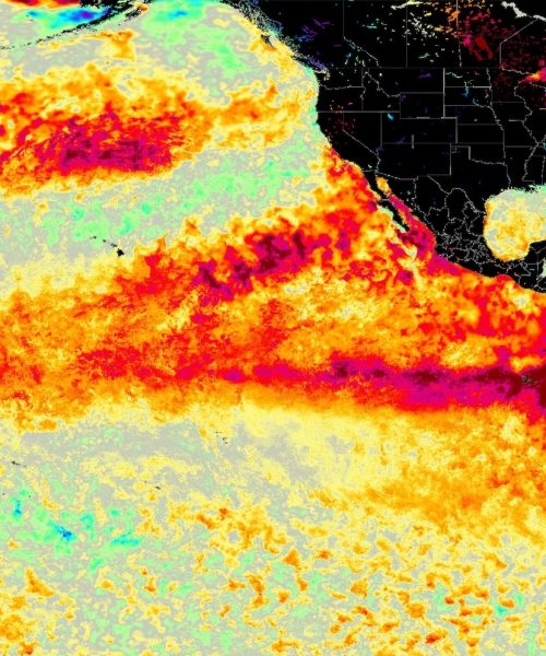 el nino 2026 forecast
